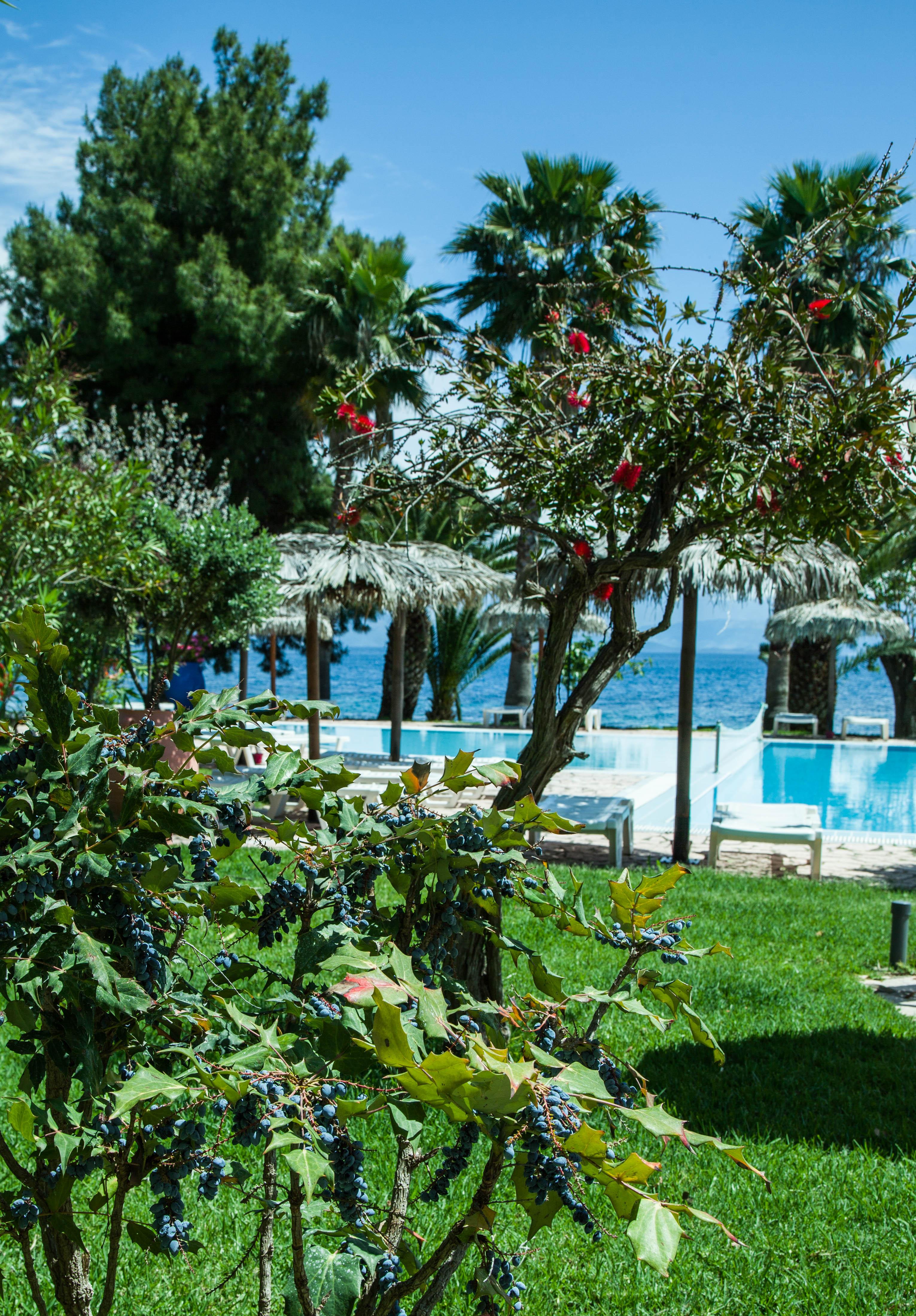 Corfu Senses Resort Agios Ioannis Peristerion Exteriör bild